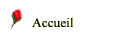 Accueil