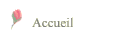 Accueil