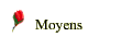 Moyens