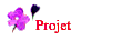Projet