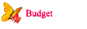 Budget