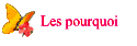 Les pourquoi